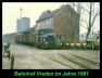 Vreden 20